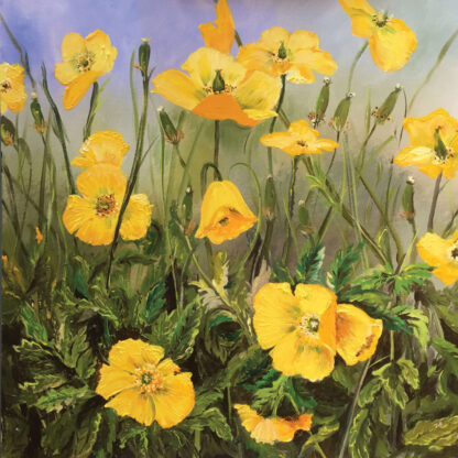 Welsh Poppies - Hiraeth. Large Limited Edition Print