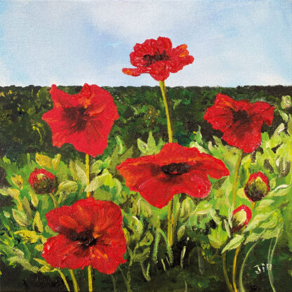 'Cyder's Poppies'  Original Painting