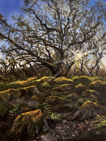 'Wales' Ancient Woodland' Original Painting.